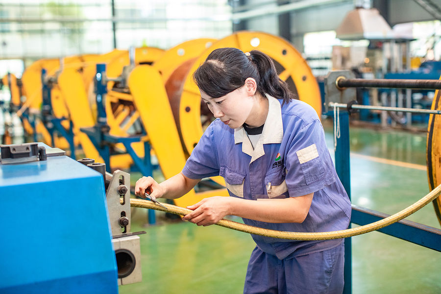Shaanxi Kelong New Materials Technology Co., Ltd.